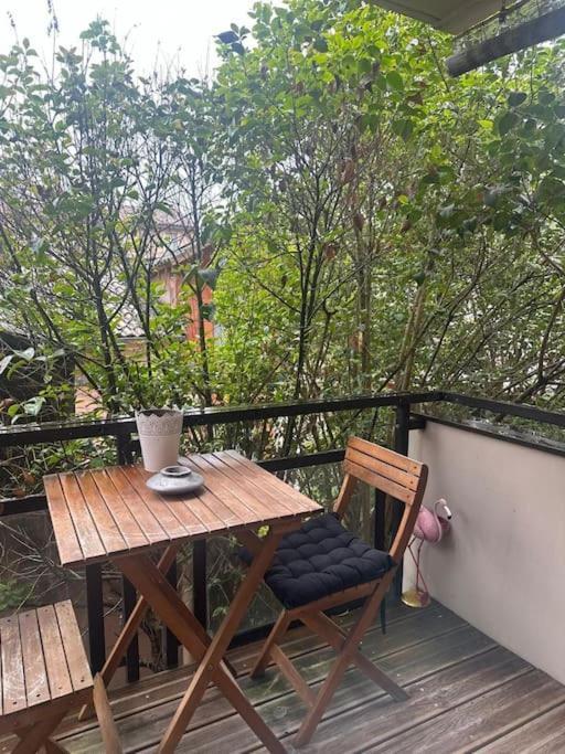 Apartmán Jardin Des Plantes Parking Securise Terrasse Et Ascenseur Toulouse Exteriér fotografie