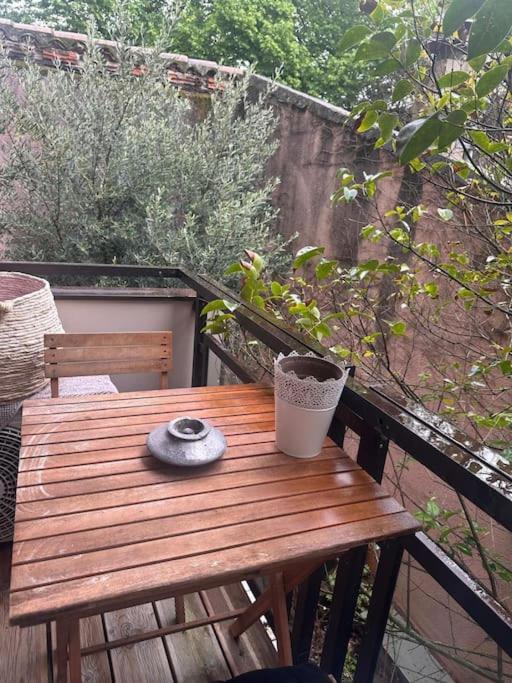 Apartmán Jardin Des Plantes Parking Securise Terrasse Et Ascenseur Toulouse Exteriér fotografie